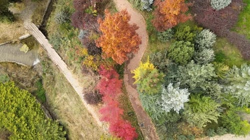herbstliche Natur