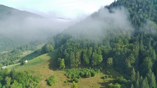 The Proud Beauty Of The Carpathian Wild Nature.