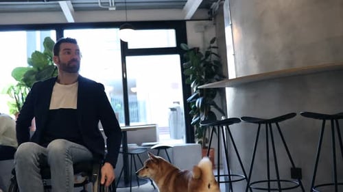 Man in Wheelchair Joins Colleagues for Meeting with Dog