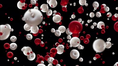 Abstract Red and White Cellular Particles Flowing Background Loop