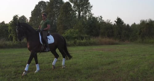 Slow motion of young carefree male is riding a purebred brown horse in nature on a sunset.
