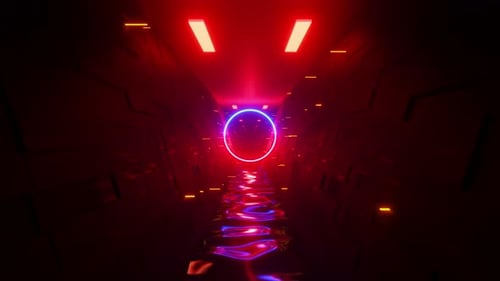 Tunnel with neon red-blue circle and many lights. Looped animation