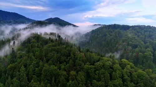 Foggy morning over Carpathian forested mountains, Romania.