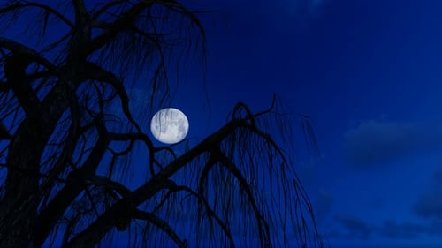 Night Sky Full Moon with Clouds, Trees, and Asian Pagoda
