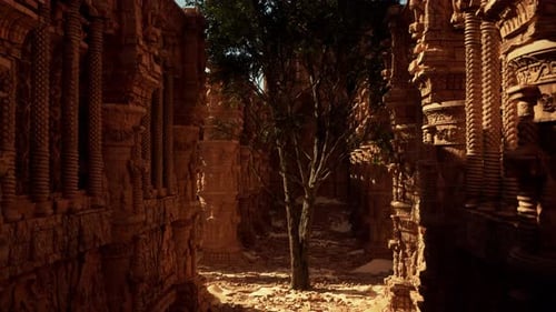 Un arbre pousse dans une ruelle étroite