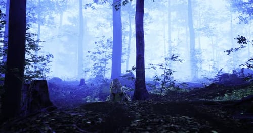 Mysterious Blue Haze Envelops the Tranquil Forest During Twilight Hours