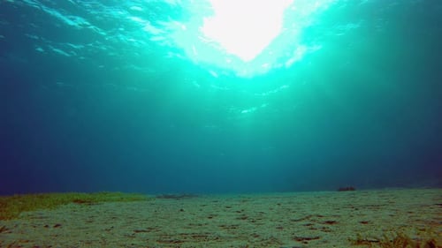 Blue Water Background