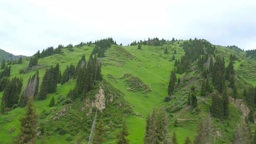 Green Forest Covers the Mountain Tops