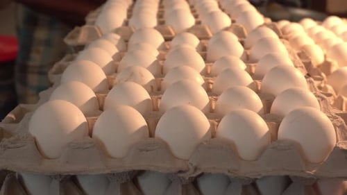 Egg sel on a shop, egg is very high protein food,