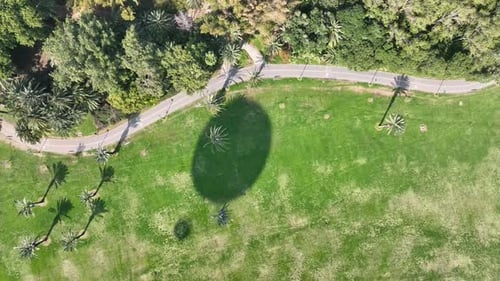 Aerial shot of a hot air balloon over Yarkon Park Tel Aviv, Israel