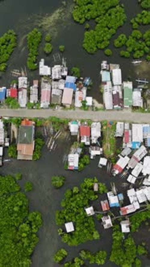Coastal Village Road Surrounded By Mangroves Siargao Philippines