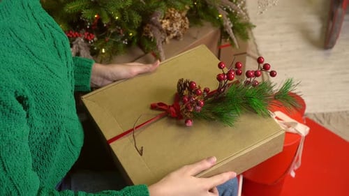 Woman Holding Christmas Gift in Front of Tree