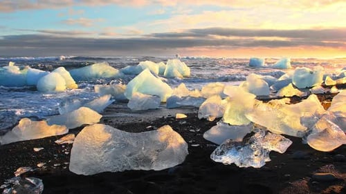 Icebergs Shining During Golden Hour Sunrise on Diamond Beach in Iceland Clear Ice Crashed By Ocean