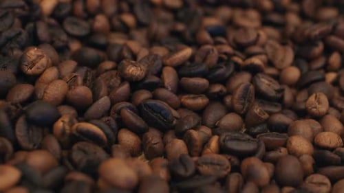 Roasted Coffee Beans Texture Background Camera Moving Top View Close Up