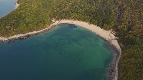 Birdseye View of Lake Surrounded By Trees in Natural Landscape