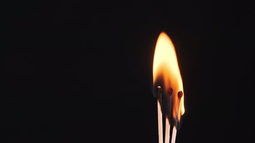 Wooden Matches Burning on Black Background in Close Up