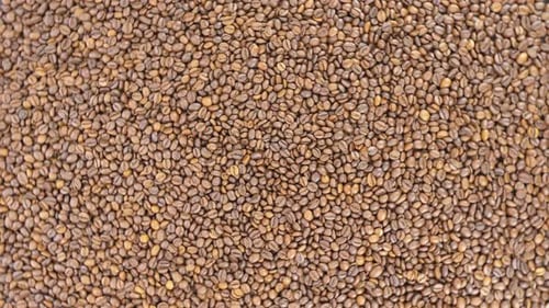 Overhead View of Roasted Coffee Beans