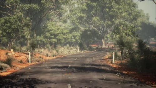 Road Leading Over Small Hills in Australian Bush Landscape