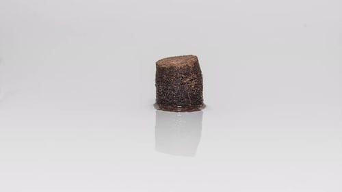 Pellet de turba de coco que se expande en una superficie húmeda. Timelapse