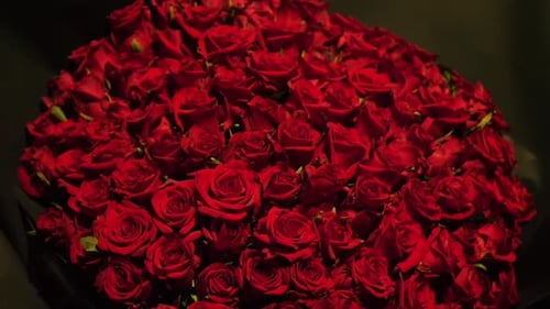 Bouquet of Romantic Red Roses Close Up