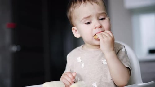 Baby Boy Eating Snack in High Chair