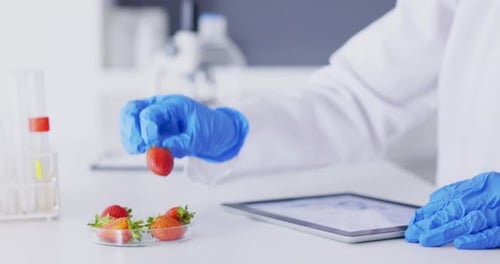Scientist Inspecting a Strawberry in a Laboratory