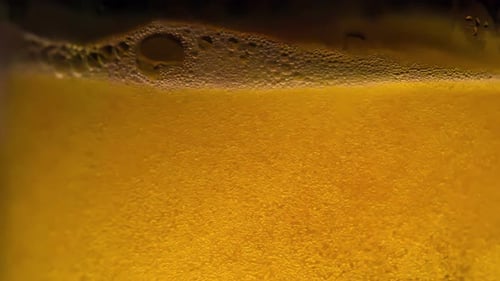 Dance Of Beer Bubbles