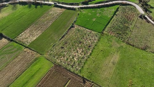 Farming fields with planted soil and vegetables areal shot 4k 60 fps