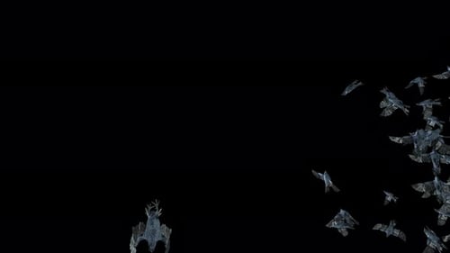 Large Flock of Realistic Crows Flying