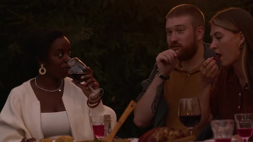Friends Enjoying Dinner and Wine at Night