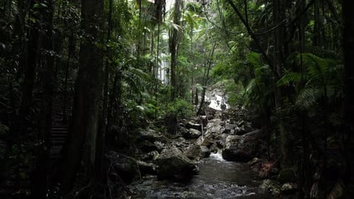 Water flowing down a lush jungle stream revealing a towering tropical waterfall in the distance. Slo