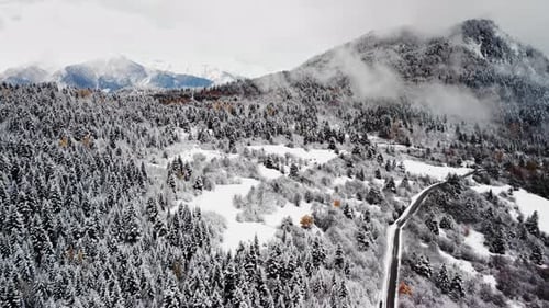Aerial Landscape of Mountain Pine Forest Covered By White Snow and Curved Road Leading There