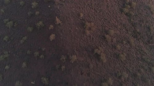 AERIAL - Drone Tilt Up of Desert Mountain (Flatiron)