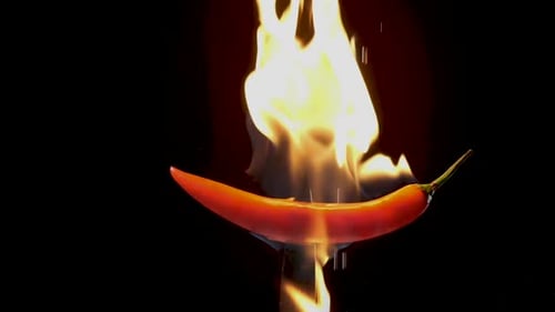 Fiery Red Chili Pepper Burning in Flames