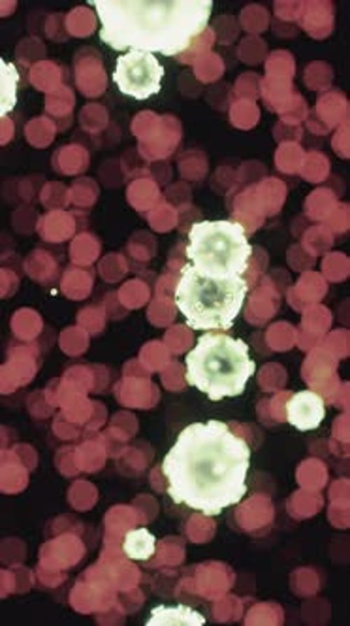 Virus Cells or Bacterias Under Microscope