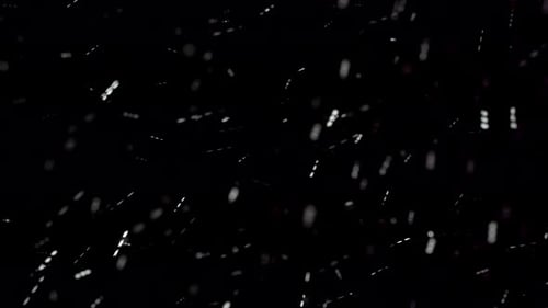 White Snow Falls and Flies on a Black Background