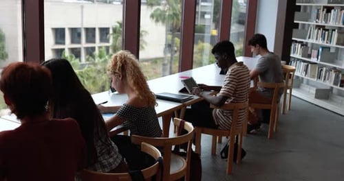 Group of Young Students Learing Together Inside School Library Academic
