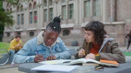 Girls Doing College Homework Together Outdoors on Campus