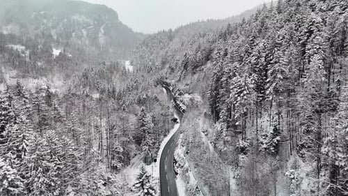 Mountain Landscape With Forests And Peaks Hd