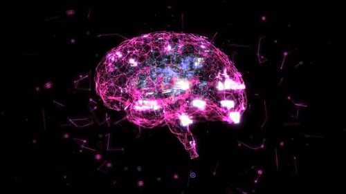 Animation of neuron cells. Nerve cells Activity in the Brain