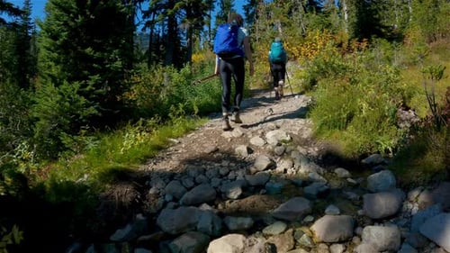 Adventurous People Hiking in Canadian Mountain Landscape