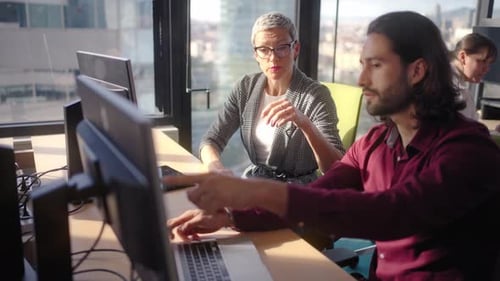 Business Colleagues Collaborating in Modern Office