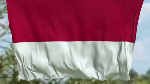 Realistic Red and White Flag Waving Seamless Loop