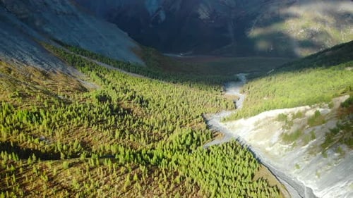 Majestic Valley and River Winding Through Lush Green Pine Forest Media
