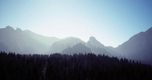 Majestic Sunrise Over Mountains with Silhouette of Pine Forest Below