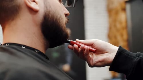 Hairdresser Barber Master Combs Beard of Man in Barbershop Side View Man Sits in Barbershop Chair