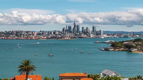 Auckland City Skyline and Harbor Scenic View Video