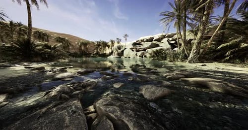 Tranquil Oasis with Palm Trees and Serene Water Reflecting Blue Skies
