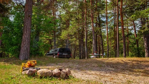 Couple arrived to forest to enjoy beautiful weather and cook dinner, time lapse