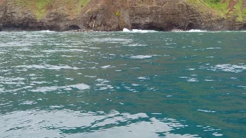 HD 120fps Hawaii Kauai Boating on the ocean dolphins surface and smack tails splashing water with wa